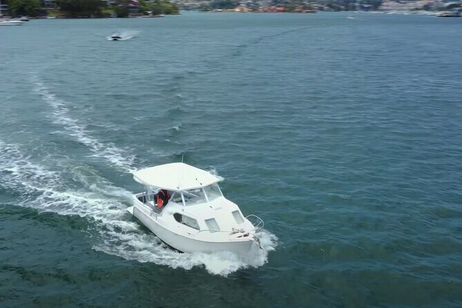 Self Drive Boat Hire Sydney Harbour (No license required) - Pace, speed, and safety: cruising at up to 11 km/h