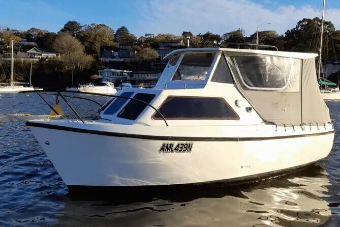 Self Drive Boat Hire Sydney Harbour (No license required) - Coral setup: comfort, shade, and picnic-ready space