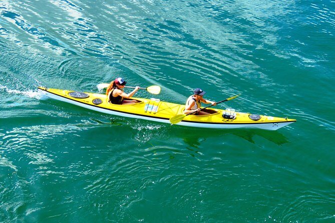 Self-Guided Sydney Middle Harbour Kayak 3 Hour Tour by Double Kayak - Key points before you go