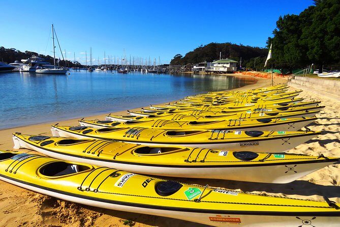Self-Guided Sydney Middle Harbour Kayak 3 Hour Tour by Double Kayak - Who this kayak trip fits best (and who might want a different plan)