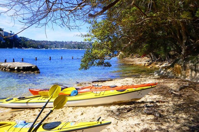 Self-Guided Sydney Middle Harbour Kayak 3 Hour Tour by Single Kayak - What’s Included vs. What You’ll Need to Bring