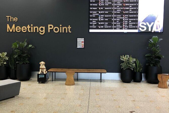 Shuttle Transfer from Sydney Airport to Cruise Ship Terminal at Circular Quay - Service quality: friendly driving, flight-aware pickup, and one key risk