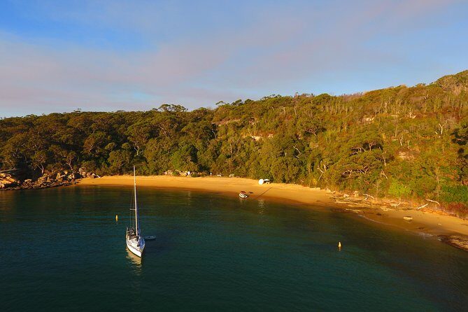 Single Kayak Hire - 4 Hours - Why North Harbour kayaking feels unusually good in Manly