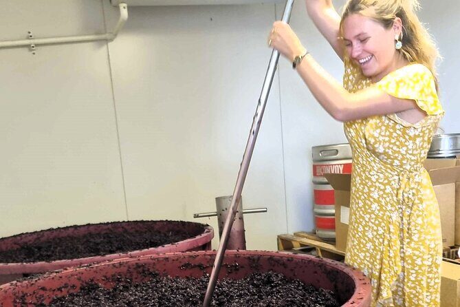 Small Group Hunter Valley Wine Tour + Lunch, Gin & Choc ex Sydney - Stop-by-Stop: How the Wineries and Distillery Work Together