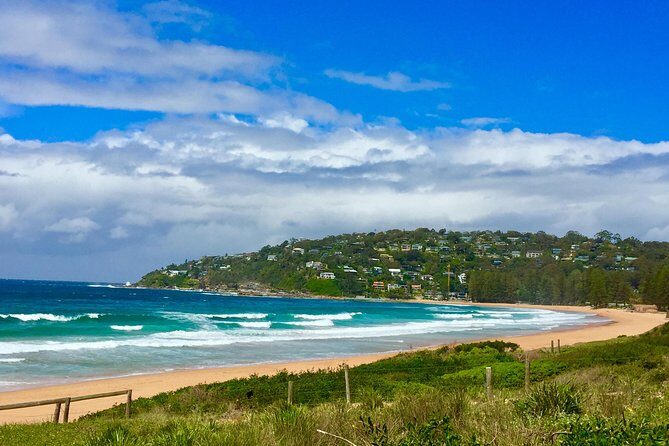 Small-Group Sydney's Northern Beaches & Ku-ring-gai Park Tour - Palm Beach: Home and Away filming spots plus Barrenjoey-headland views