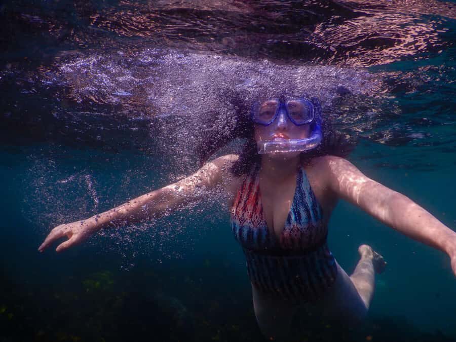 Snorkel Sydney’s Stunning Marine Reserve on a Private Tour - The 15-minute safety briefing: practical calm instead of scary rules