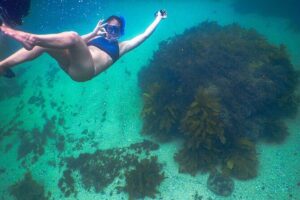 Snorkeling To Discover Sydney's Underwater Wonders - The 1.5-hour flow: short, focused, and beginner-friendly
