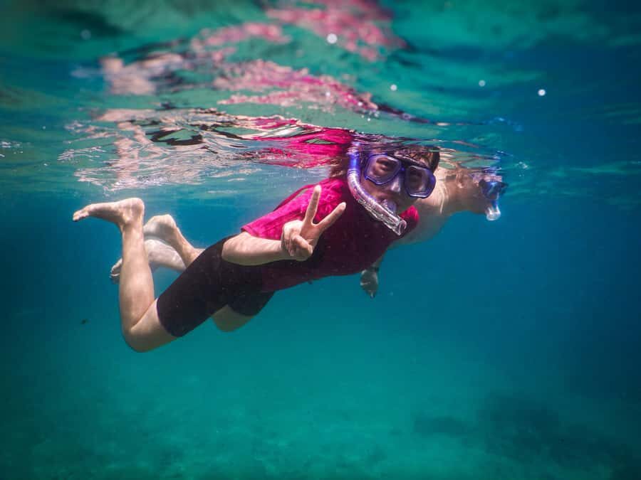 Snorkeling Tour: Discover Sydney’s impressive sea life - Who this tour suits best (and who should choose something else)