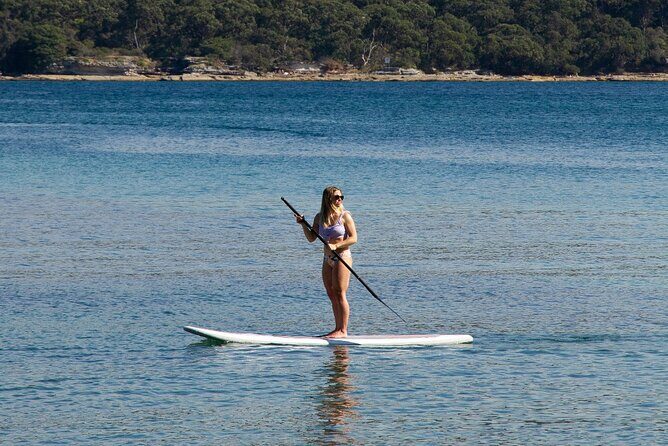 Stand Up Paddle Board Hire - 2 Hours - Manly Kayak Centre to North Harbour: what you’re really paying for