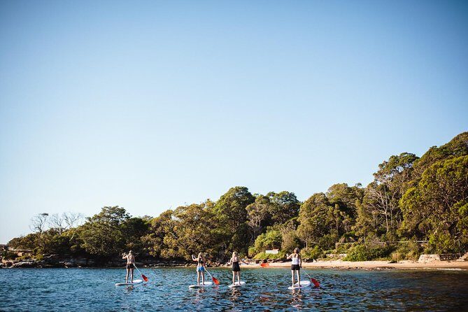 Stand Up Paddle Board Hire - 2 Hours - Skill level and safety: first-timer friendly with real requirements
