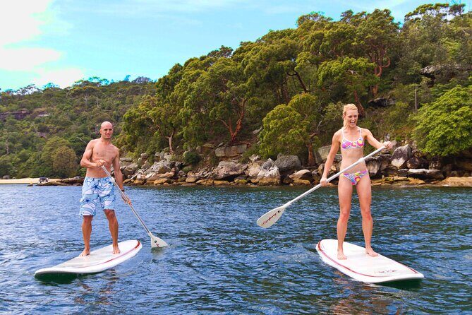 Stand Up Paddle Board Hire - 2 Hours - Boards, comfort, and what to plan for on the day