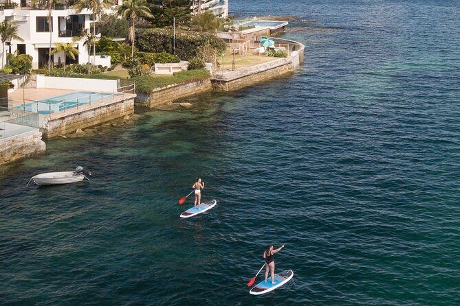 Stand Up Paddle Board Hire - 2 Hours - Your 2-hour plan: basics first, then you choose your route