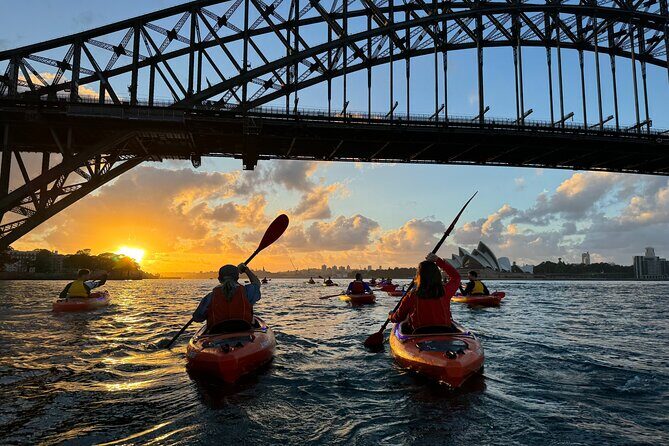 Sunrise Paddle Session on Syndey Harbour (single kayak) - Key Highlights You Shouldn’t Skip