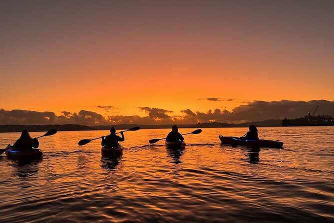 Sunrise Paddle Session on Syndey Harbour (single kayak) - Safety Gear, Trained Guidance, and What “Easy for Most” Really Means