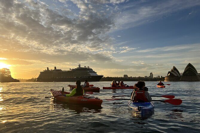 Sunrise Paddle Session on Syndey Harbour (single kayak) - Price and Value: Why $128.39 Can Make Sense