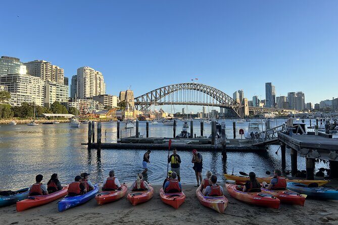 Sunset Paddle Session on Sydney Harbour (single kayak) - Single-kayak expectations: who this fits best (and who should rethink)