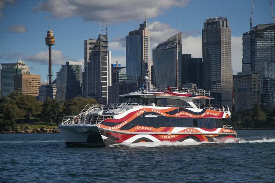 Sydney: 2-hour Express Whale Watching Cruise - Viewing from sea level: what your photos can miss (but your eyes won’t)
