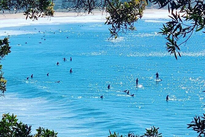 Sydney 6 Hour Private Tour - Watsons Bay: Harbor Food Options and Clifftop Views
