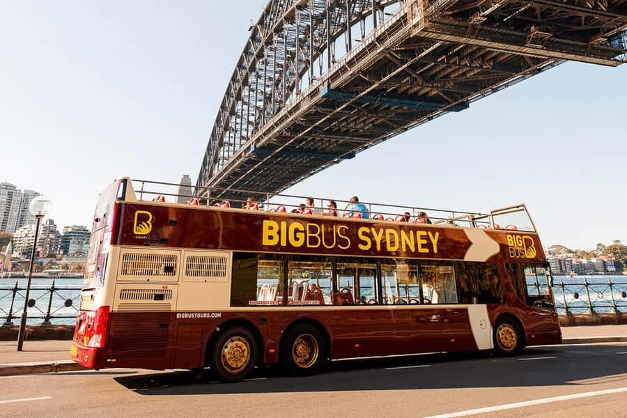 Sydney: Big Bus Hop-On Hop-Off Tour with Optional Cruise - Bondi & Bays Blue route: beach culture without stress