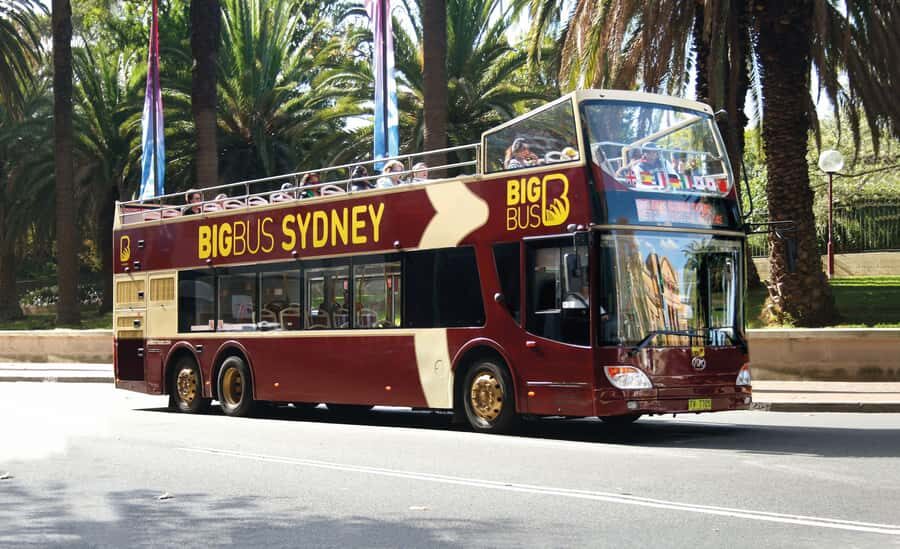Sydney: Big Bus Hop-On Hop-Off Tour with Optional Cruise - Timing and tickets: 24 vs 48 hours and not-missing-the-last-bus reality
