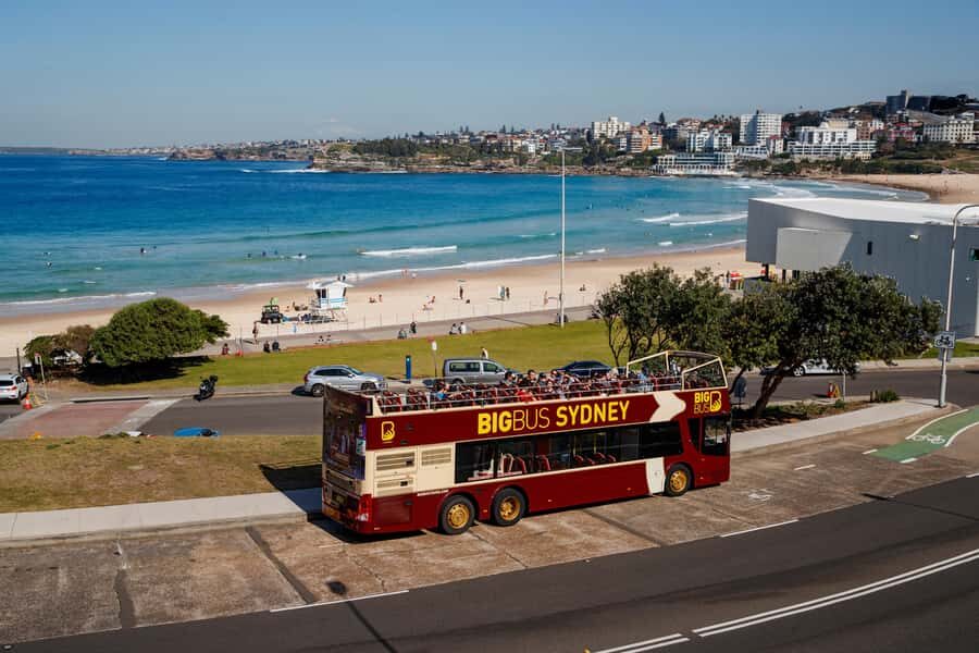 Sydney: Big Bus Hop-On Hop-Off Tour with Optional Cruise - Circular Quay to the Harbour Icons on the City (Red) route