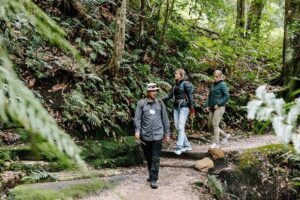 Sydney Blue Mountains Day Tour with Wildlife Park and Waterfalls - Featherdale Wildlife Park: the best kind of animal time