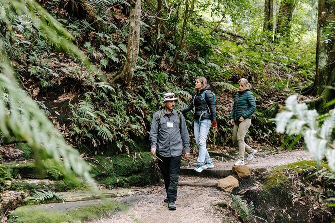 Sydney Blue Mountains Day Tour with Wildlife Park and Waterfalls - Featherdale Wildlife Park: the best kind of animal time