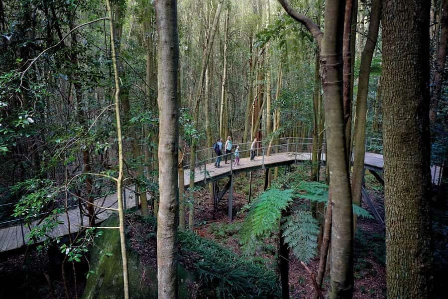 Sydney: Blue Mountains National Park Tour with River Cruise - Who should book this Blue Mountains tour (and who might not)