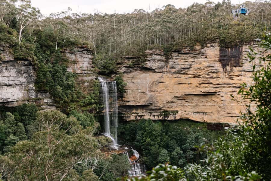 Sydney: Blue Mountains Scenic World, Wildlife Park and Lunch - Should you book this Blue Mountains day trip?