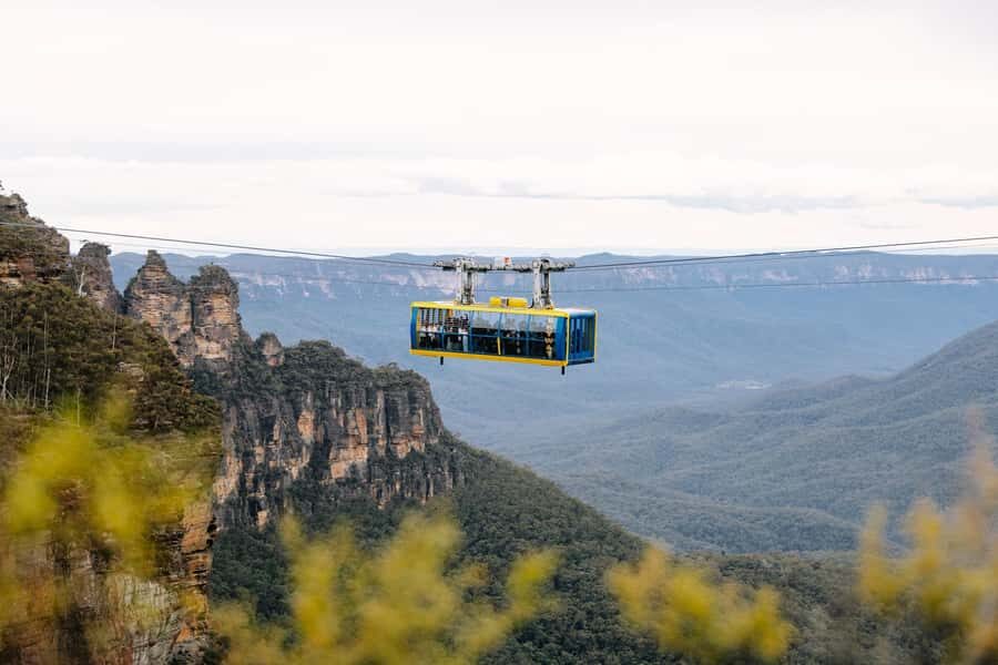 Sydney: Blue Mountains Scenic World, Wildlife Park and Lunch - Scenic World Lunch & Unlimited Rides: How to make 2.5 hours count