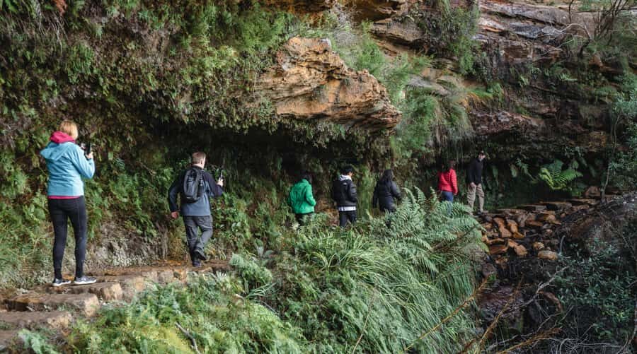 Sydney: Blue Mountains Wildlife & Bushwalk Small-Group Tour - Pickup to Park: How This 11-Hour Plan Actually Feels