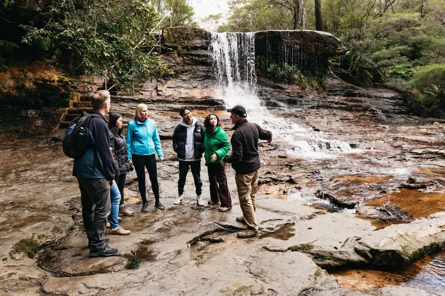 Sydney: Blue Mountains Wildlife & Bushwalk Small-Group Tour - Weather That Changes Everything (and How the Guide Handles It)