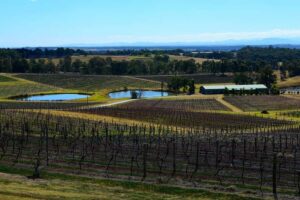 Sydney: Chef-Led Hunter Valley Food & Wine Tour - Sushi making that’s hands-on, not just a show