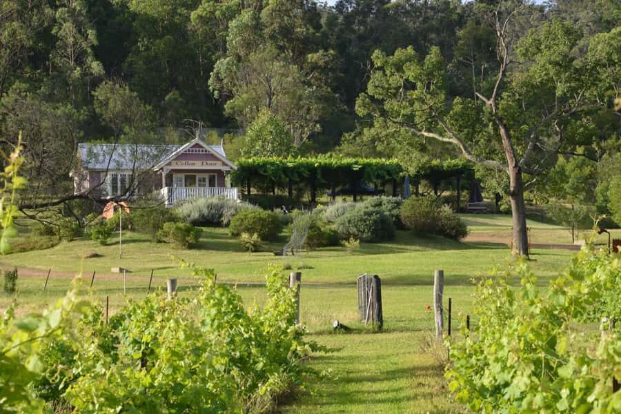 Sydney: Chef-Led Hunter Valley Food & Wine Tour - The drive to Hunter Valley: stories, comfort, and wildlife moments