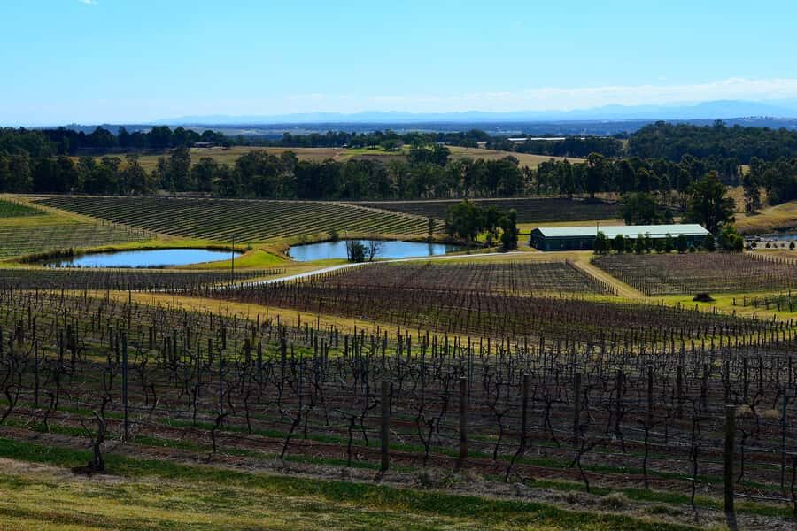 Sydney: Chef-Led Hunter Valley Food & Wine Tour - Sushi making that’s hands-on, not just a show