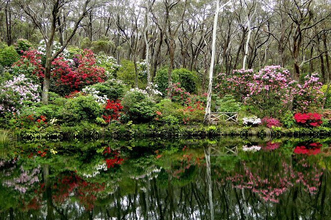 Sydney City and Blue Mountains in One Day Private Tour - The included food experience: why it’s more than a break