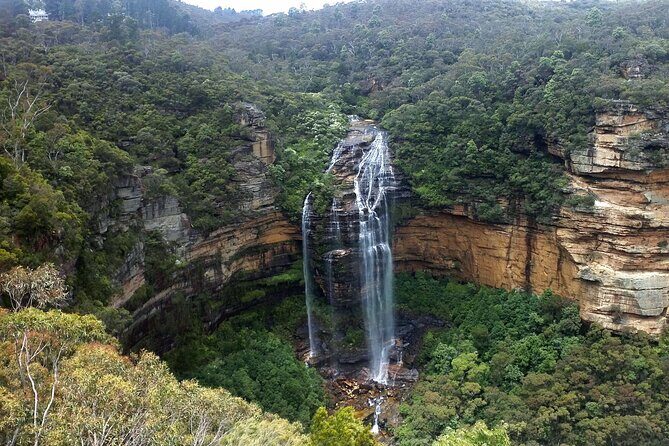 Sydney City and Blue Mountains in One Day Private Tour - Stop 1: Featherdale Sydney Wildlife Park (animal time without the fuss)