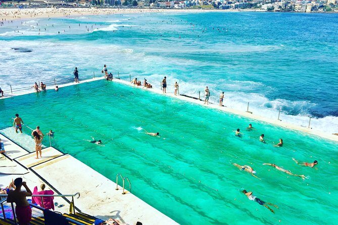 Sydney City, Harbour & Bondi Private Tour, with Airport pick up or drop off - Watsons Bay: Harbour entrances and that long-view feeling