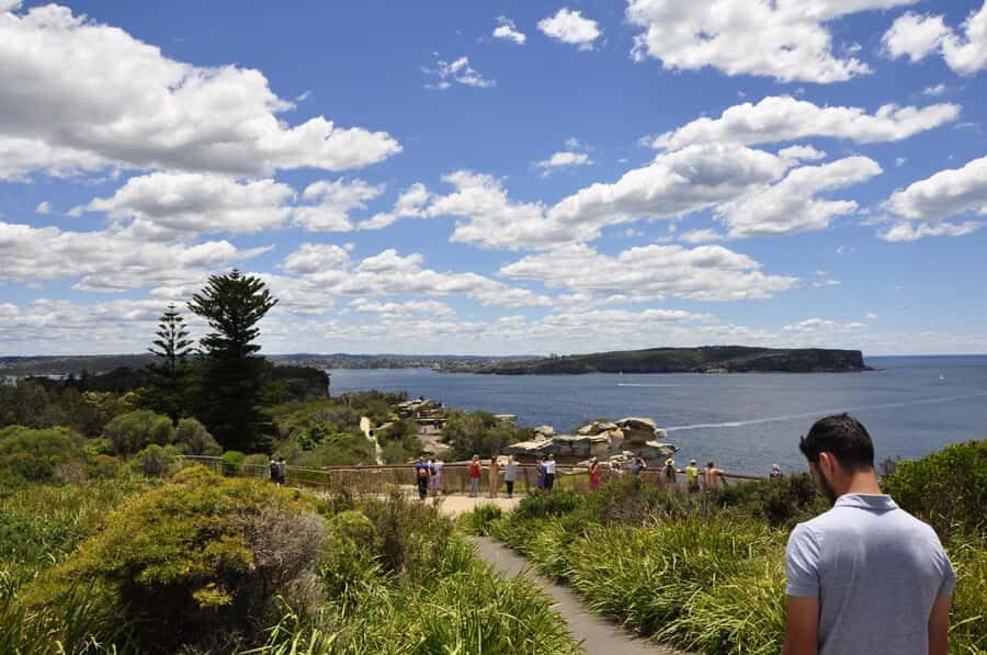Sydney: City Highlights Guided Bus Tour - Rose Bay coffee break and the waterfront drive to Watsons Bay