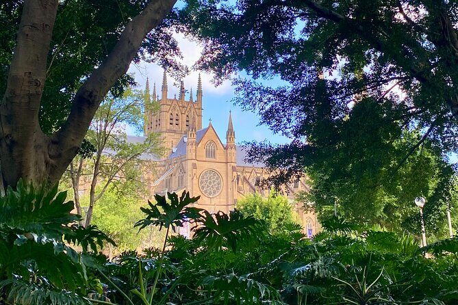 Sydney City Walking Tour - Entering the Sydney CBD with Ned’s thread