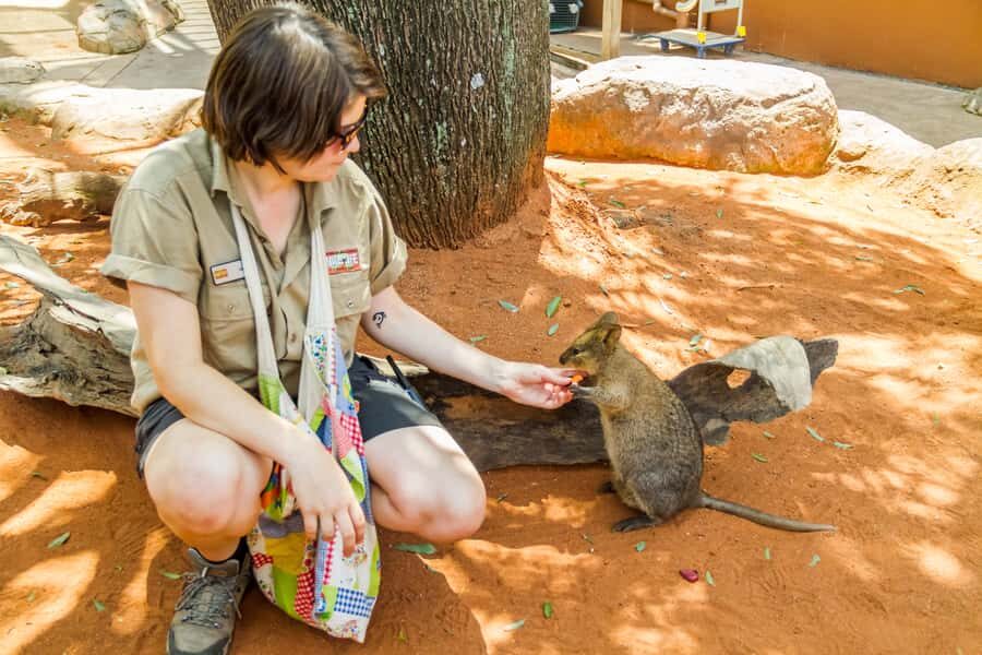Sydney: Combo Pass for 2, 3, or 4 Top City Attractions - Family Fit and Who Should Buy This