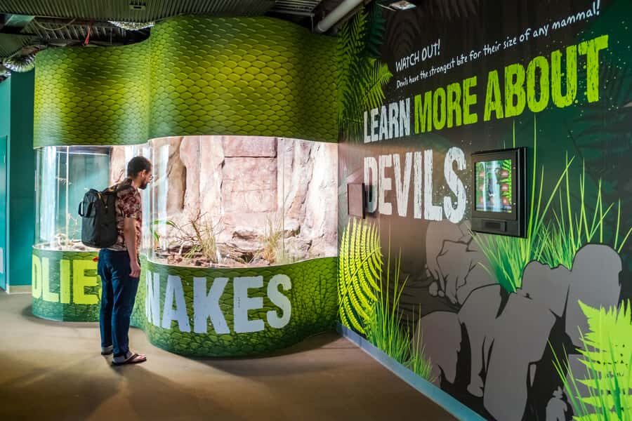 Sydney: Combo Pass for 2, 3, or 4 Top City Attractions - Why This Sydney Combo Works for a Short Trip