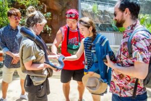 Sydney: Combo Pass for 2, 3, or 4 Top City Attractions - The Pass Setup: Swipe Card, Timeslots, and Smart Sequencing