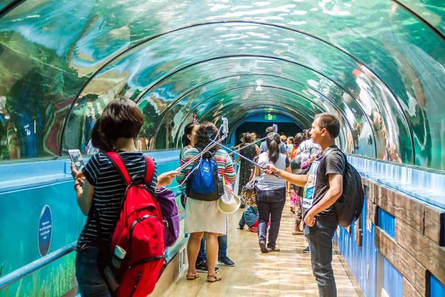 Sydney: Combo Pass for 2, 3, or 4 Top City Attractions - Sydney Aquarium (SEALIFE) First: All-Australian Aquatic Focus on Darling Harbour