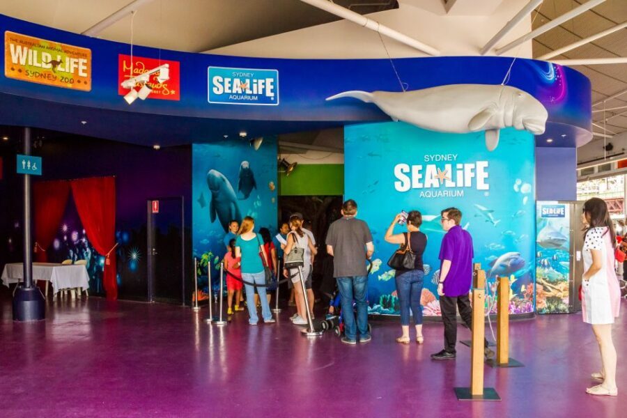 Sydney: Combo Pass for 2, 3, or 4 Top City Attractions - Wild Life Sydney: Koalas, Kangaroos, Wallabies, and a Croc Moment