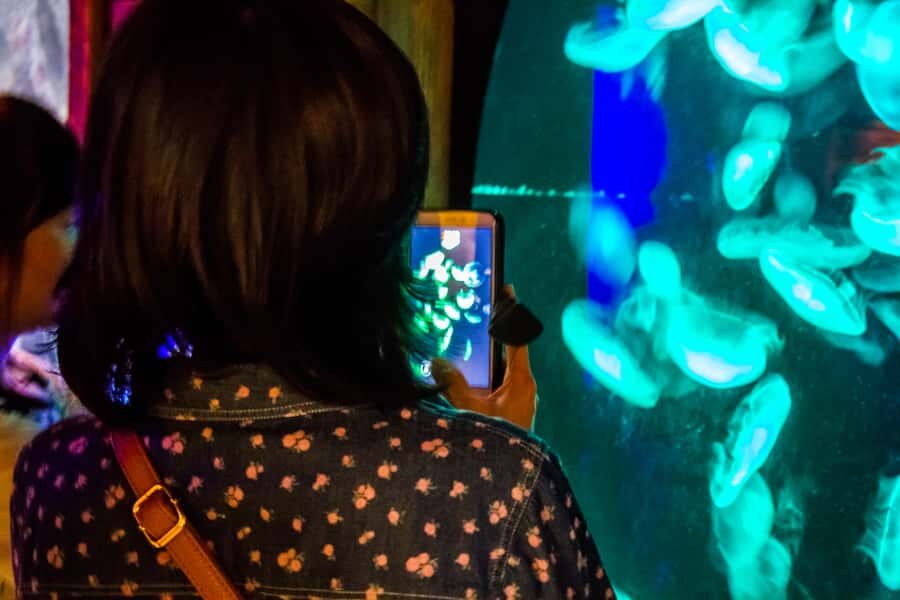 Sydney: Combo Pass for 2, 3, or 4 Top City Attractions - Price and Value: What $38 Gets You in Real Terms