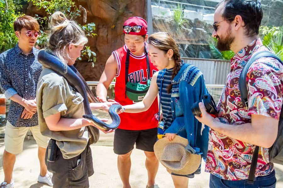 Sydney: Combo Pass for 2, 3, or 4 Top City Attractions - The Pass Setup: Swipe Card, Timeslots, and Smart Sequencing
