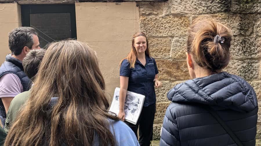 Sydney Convicts, History & The Rocks 2.5-Hour Walking Tour - The Rocks on foot: cobblestones, convict-cut sandstone, and hidden ruins