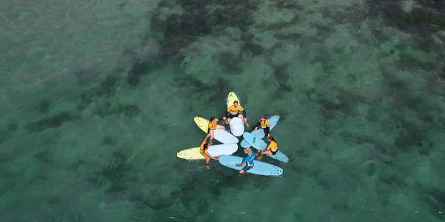 Sydney: Dee Why Beach Group Surfing Lesson - Key things to know before you go