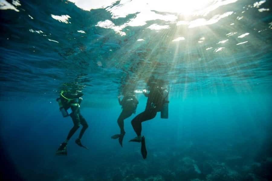 Sydney: Discover Scuba Dive at Australia's most Iconic Beach - Bondi’s Underwater Intro: A 4-hour way to test scuba in real ocean water